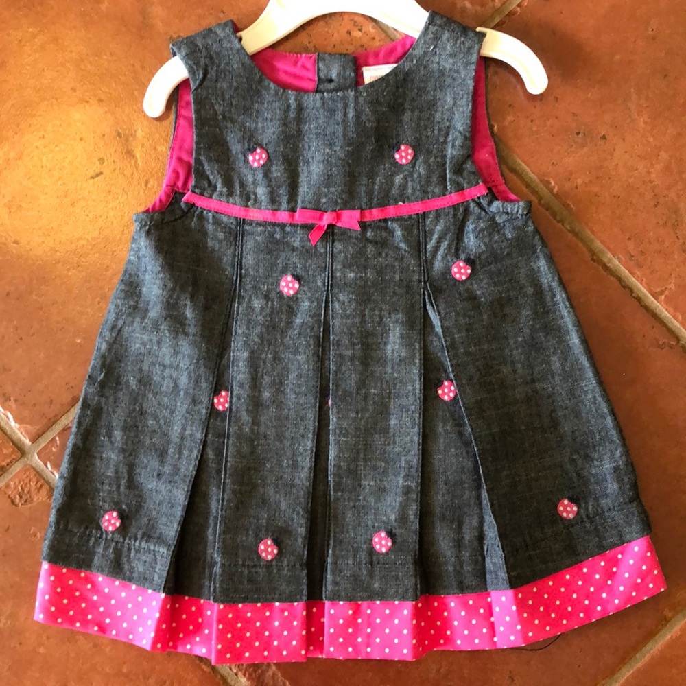 Gymboree 3-6 month pink ladybug dress